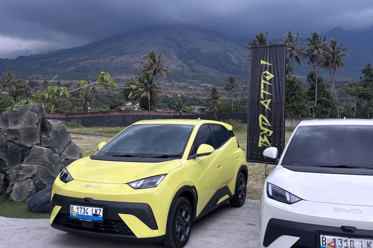 BYD–DENZA Kuasai 57 Persen Pasar EV RI, Penjualan Tembus 47 Ribu Unit di 2025