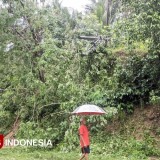 Cuaca Ekstrem Mengintai, Warga Pacitan Diimbau Waspada Banjir hingga Gelombang Tinggi