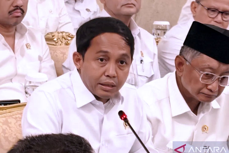 Pemerintah Cabut 22 Izin Usaha Hutan, Total Luas Capai 1 Juta Hektare Lebih