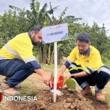 Cegah Bencana, Perhutani Hingga Perusahaan Tambang di Banyuwangi Gelar Penanaman Bibit Masal