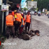 Peninggian Jalan Kepanjen-Pagak, Dinas PUBM Kabupaten Malang Normalisasi Drainase