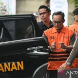 Diduga Minta Fee 15-20%, KPK Usut Proyek Pengadaan Alkes di Lampung Tengah Terkait Bupati Ardito