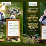 Pengelolaan Hutan Rakyat Standar Internasional, Gubernur Khofifah Terima Penghargaan dari FSC Asia Pacific