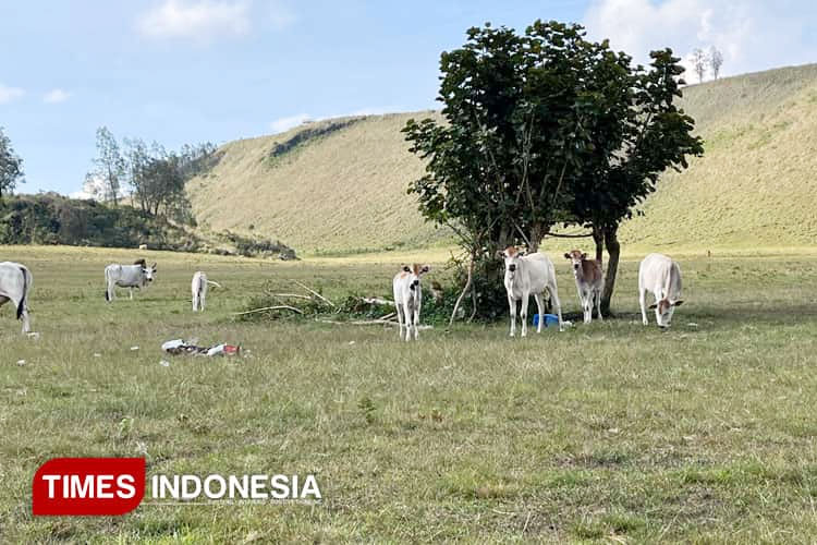 Pemkab Bondowoso Mulai Antisipasi Keamanan di Tempat Wisata Jelang Nataru