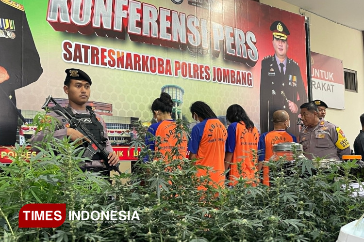 Polisi Tetapkan 4 Tersangka dalam Kasus Ganja Greenhouse di Jombang, Ini Peran Masing-masing