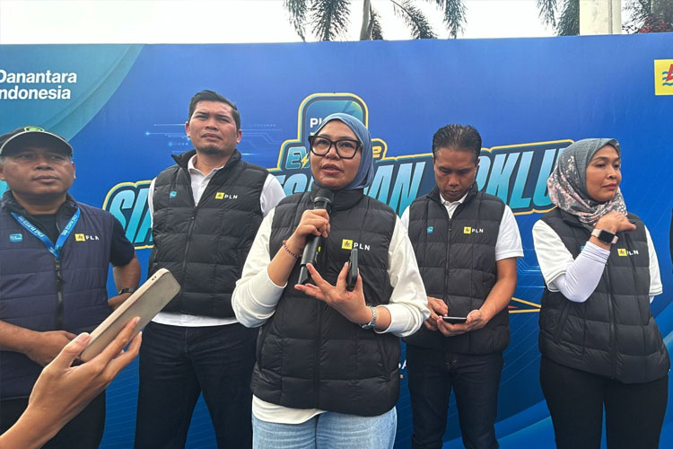 Ririn-Rachmawardini---Executive-Vice-President-Pengembangan-Produk-Niaga-PT-PLN.jpg