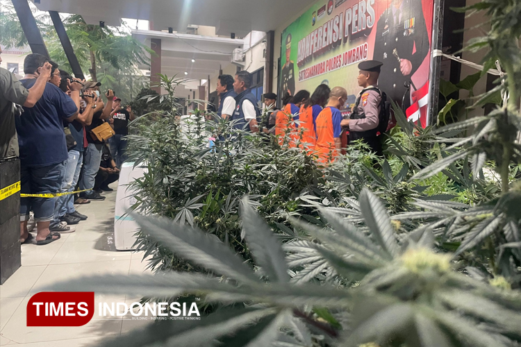 Pemodal Ganja Greenhouse di Jombang Terbongkar, Kucuran Dana Hingga 6 Miliar