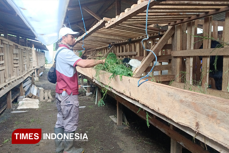 PTPN I Gelontorkan TJSL Rp1,28 Miliar untuk Warga Ijen