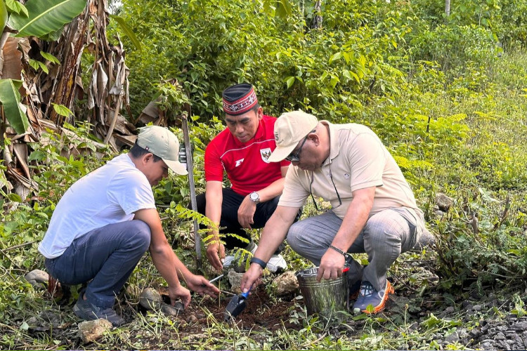 Tanam 1 Ribu Pohon di Parapuar, BPOLBF Ajak CEO Wujudkan Pariwisata Berkelanjutan Labuan Bajo
