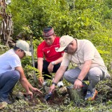 Tanam 1 Ribu Pohon di Parapuar, BPOLBF Ajak CEO Wujudkan Pariwisata Berkelanjutan Labuan Bajo