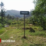 Tak Ada Makam Sunan Kalijaga di Pacitan, Tapi Jejak Dakwahnya Masih Hidup