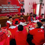 Menanti Nakhoda PDIP Kabupaten Probolinggo Pilihan DPP