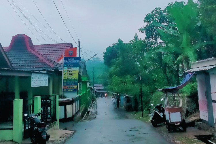 40 Tahun Menjaga Emas Hijau, Petani Cengkeh Desa Tembongwah Tegal Kian Terpuruk