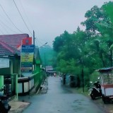 40 Tahun Menjaga Emas Hijau, Petani Cengkeh Desa Tembongwah Tegal Kian Terpuruk