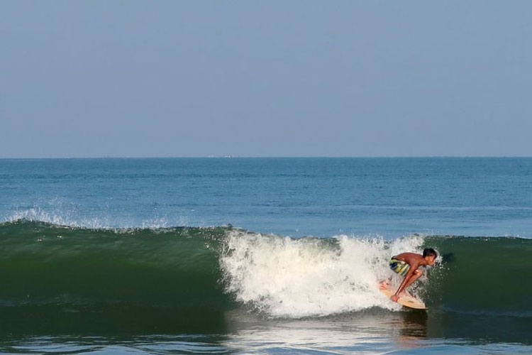 NTB Tancap Gas Agromaritim: 38 Komoditas Disiapkan Jadi Mesin Industri Daerah