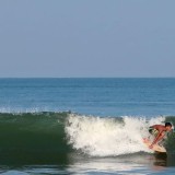 NTB Tancap Gas Agromaritim: 38 Komoditas Disiapkan Jadi Mesin Industri Daerah