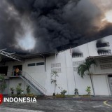 Pabrik Sepatu di Jombang Dilahap Si Jago Merah