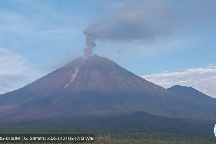 Gunung Semeru Erupsi Pagi Hari, Kolom Abu Capai 1,2 Kilometer