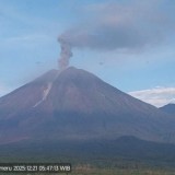 Gunung Semeru Erupsi Pagi Hari, Kolom Abu Capai 1,2 Kilometer
