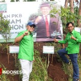 Perhatikan Serius Isu Lingkungan, DPC PKB Kabupaten Malang Tanam Seribu Bibit Pohon