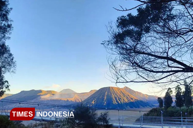 Dishub Probolinggo Perbaiki PJU di Kawasan Bromo Jelang Lonjakan Arus Nataru