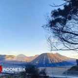 Dishub Probolinggo Perbaiki PJU di Kawasan Bromo Jelang Lonjakan Arus Nataru