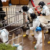 Kemlu RI Pulangkan Jenazah WNI Korban Kebakaran Hong Kong