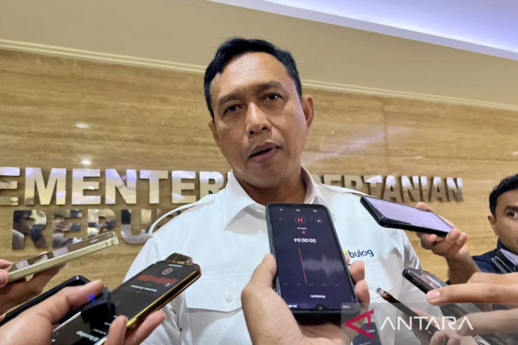 Bulog Pangkas Distributor Mulai 2026, Minyakita 35% Langsung ke Pedagang Kecil