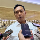 Skema Baru, Bulog Janji Minyakita Langsung ke Warung Tanpa Perantara