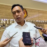Tak Hanya 100 Gudang, Bulog Siapkan Tambahan 2 Juta Ton Gudang Sewa untuk Antisipasi Panen 2026