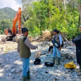 Usai Banjir Bandang, Beruang Madu Muncul di Pohon Dekat Lokasi Bencana Agam