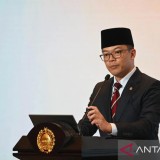 Dino Patti Djalal Sampaikan Empat Kritik Terbuka untuk Menlu Sugiono