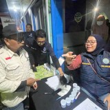 Operasi Lilin Semeru 2025 Polres Malang, Sopir di Jalur Wisata Bromo Terjaring Tes Urine