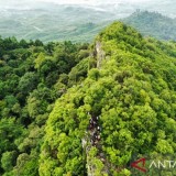 Ekowisata Berbasis Komunitas Jadi Strategi IKN Tingkatkan Kesejahteraan Warga Lokal