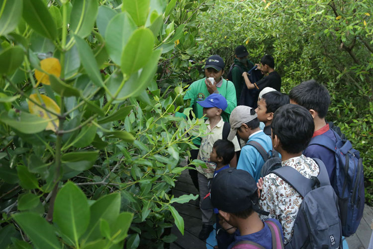 Suasana-wisata-edukasi-di-Kebun-Raya-Mangrove-Surabaya-b.jpg