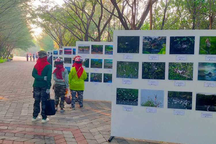 Kebun Raya Mangrove Surabaya Jadi Primadona Wisata Edukasi