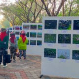 Kebun Raya Mangrove Surabaya Jadi Primadona Wisata Edukasi