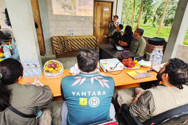 Virus Mematikan Ancam Gajah Sumatera, Dokter Spesialis dari India Didatangkan