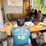 Demi Selamatkan Gajah Sumatera dari Virus Mematikan, Pemerintah Gandeng Rumah Sakit Gajah Terbaik Dunia