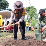 Memperkuat Mitigasi Bencana, Polres Malang - Perhutani Tanam Ribuan Pohon di Donomulyo