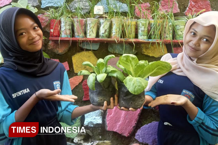 Ada Program Kebun Emas, Cara SMPN 3 Kebonagung Pacitan Optimalkan Lahan Sekolah