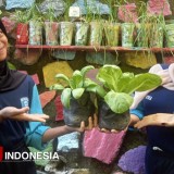 Ada Program Kebun Emas, Cara SMPN 3 Kebonagung Pacitan Optimalkan Lahan Sekolah