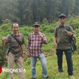 Perhutani KPH Pekalongan Barat Ungkap Kondisi Hutan di Hulu Sungai Gung