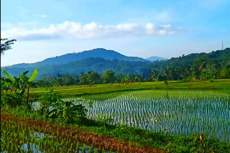 Cegah Bencana dan Alih Fungsi Lahan, Pemkab Cianjur Hentikan Izin Perumahan dan Industri