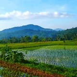 Cegah Bencana dan Alih Fungsi Lahan, Pemkab Cianjur Hentikan Izin Perumahan dan Industri