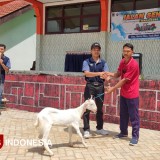 Tutup Semester Tanpa Tegang, SMPN 4 Sudimoro Pacitan Gelar Jalan Sehat Berhadiah Kambing