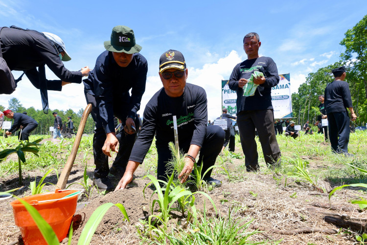 Cegah Bencana dari Hulu, Banyuwangi Gencarkan Tanam Ratusan Ribu Bibit Pohon