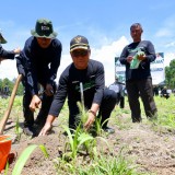 Cegah Bencana dari Hulu, Banyuwangi Gencarkan Tanam Ratusan Ribu Bibit Pohon