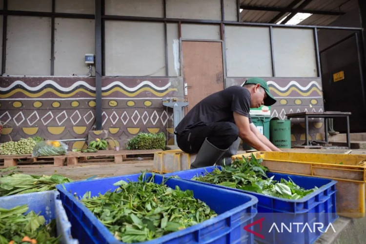 Tegas Tolak Bantuan Pemerintah, Bandung Zoo Pilih Bertahan dari Donasi Masyarakat