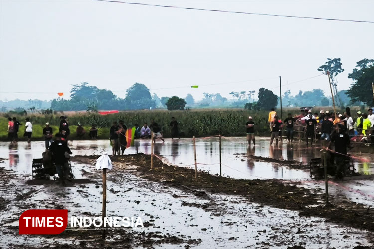 Unik, Karapan Sapeh Jepang di Probolinggo